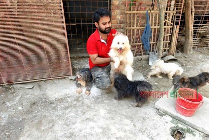 কুকুর পালন থেকে খামার গড়ে স্বাবলম্বী সোহাগ